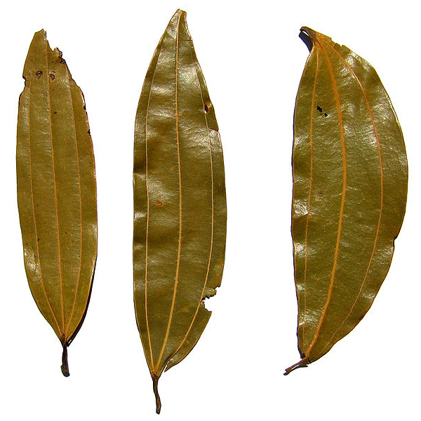 Bay leaves